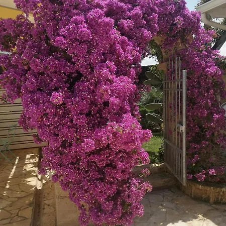 Nocleg ze śniadaniem House Salento 3*
